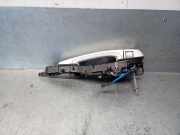 Türgriff Außen Links Vorne 51217332565 BMW 3 serie Touring (F31) Kombi 330d xDrive 3.0 24V (N57-D30A)