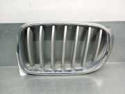 Grill 51117210725 BMW X4 (F26) SAC SUV xDrive35d 24V (N57-D30B)