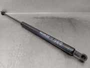 Gasdruckfedern Set Hinten 51800638 Lancia Musa Großraumlimousine 1.3 JTD Multijet 90 (199.A.3000)