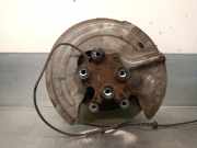 Achsschenkel Halter Links Hinten 430433660R Renault GRAND SC?NIC IV (R9_) 1.3 TCe 140