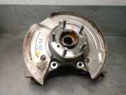 Achsschenkel Halter Links Hinten GX635A971AF Jaguar XE Limousine 2.0d 180 16V (204DTD(AJ20D4))