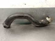 Schlauch A1665280100 Mercedes-Benz GLE (W166) 250 d 4-matic (166.004)