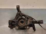 Achsschenkel Halter Links Vorne 51940120 Fiat Doblo Cargo (263) Van 1.3 MJ 16V DPF Euro 5 (263.A.2000)