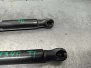 Gasdruckfedern Set Hinten 68950K0020 Toyota Yaris IV (P21/PA1/PH1) Schrägheck 1.5 12V Hybrid (M15AFXE)