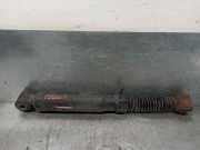 Sto?d?mpfer Rechts Hinten 0558 Peugeot EXPERT KASTEN Furg.