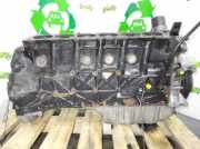 Motorblock 6130110101 Mercedes-Benz E (W210) Limousine 3.2 E-320 CDI 24V (OM613.961)