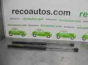 Gasdruckfedern Set Hinten A1697400045 Mercedes-Benz A (W169) Schrägheck 2.0 A-200 CDI 16V 5-Drs. (OM640.941)