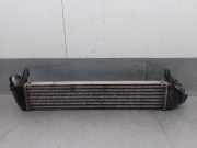 Ladeluftkühler 8200409045A Dacia Logan MCV I (KS) Kombi 1.5 dCi (K9K-796(K9K-87))