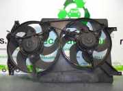 Kühlerventilator 8240227 Land + Range Rover Freelander Hard Top Geländewagen 2.0 di (20LTCIE)