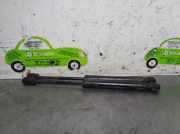 Gasdruckfedern Set Hinten 4B5827552G Audi A4 (B6) Limousine 1.9 TDI PDE 130 (AVF)