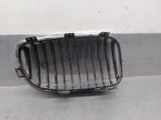 Grill 51137322209 BMW 1 Descapotable (E88) 118 d