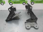 Motorhaubescharnier Renault Vel Satis (BJ) Großraumlimousine 3.0 dCi V6 24V (P9X-701)