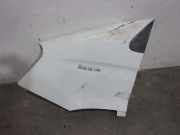 Kotflügel Links Vorne 3800002 Iveco New Daily IV Van 35C14V, C14V/P, S14C, S14C/P, S14V, S14V/P (F1AE0481H)