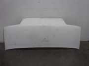 Motorhaube 7901C0 Peugeot BOXER CAJA CERRADA (RS3200)(230)(->´02) 2.5 Turbodiesel CAT