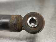 Stoßdämpfer Links Hinten 1106738 Ford Escort 6 (AAL/ABL) Schrägheck 1.6 16V (L1E)