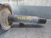 Stoßdämpfer Rechts Vorne 1632006880 Peugeot 206 (2A/C/H/J/S) Schrägheck 1.9 D (DW8B(WJY))