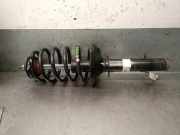 Stoßstangengitter RECHTS RECHTS 8200412380 Renault MEGANE II BERLINA 5P 1.6 16V