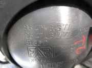 Türgriff Innen Rechts Hinten 9647164377 Citroën C3 (FC/FL/FT) Schrägheck 5-drs 1.4 (TU3JP(KFV))