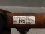 Einspritzdüsen Düsenstock 8200815617 Renault MEGANE II BERLINA 5P 1.5 dCi Diesel