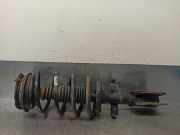 Stoßdämpfer Links Vorne 8200256335 Renault IV (JK0) Dynamique