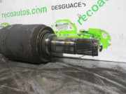 Rücklicht Links 2095 Daewoo / Chevrolet DAEWOO LANOS 1.5 CAT