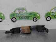 Türgriff Außen Links Hinten 242567 Fiat Bravo (198A) Schrägheck 1.9 JTD Multijet (192.A.8000)