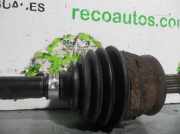 Schlauch 2036638 Ford TRANSIT CUSTOM KOMBI 2.2 TDCi CAT