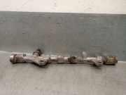 Einspritzd?sen D?senstock 8200750048 Renault Grand Sc?nic III (JZ) Gro?raumlimousine 1.9 dCi 130 FAP (F9Q-872(F9Q-P8))