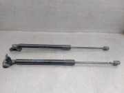 Gasdruckfeder Set Vorne 315005777 Opel Zafira Tourer (P12) GroÃŸraumlimousine 1.6 CDTI 16V ecoFLEX 134 (B16DTH)