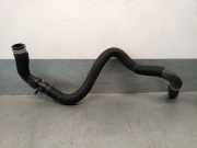 Schlauch 215030960R Renault GRAND SC?NIC IV (R9_) 1.3 TCe 140