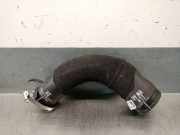 Schlauch 4M0145737AS Volkswagen Touareg SUV 3.0 V6 24V TSI (DCBE) DCBE