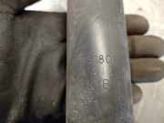 Sto?d?mpfer Rechts Hinten 341801 Ford Fiesta 1 Schr?gheck 1.1 L,GL,S,Ghia (GLA(CVH))