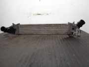 Ladeluftk?hler 8200424155 Dacia (LS_) 1.5 dCi (LS0K)