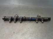 Einspritzdüsen Düsenstock 55234437 Citroën CITROËN NEMO Nivel B