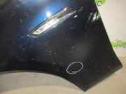 Kotflügel Links Vorne 41357248433 BMW SERIE 5 GRAN TURISMO (F07) 535d