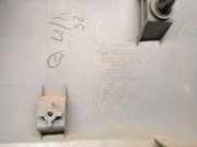 Grill 7700834200 Renault I SCENIC (JA0) 1.9 dTi Diesel CAT