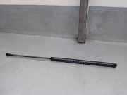Gasdruckfedern Set Hinten 689500H020 Citroën C1 Schrägheck 1.4 HDI (DV4TD(8HT))