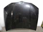 Motorhaube 41615B60AF8 BMW X3 (G01) SUV xDrive 20d 2.0 TwinPower 16V Mild Hybrid (B47-D20B)