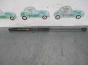 Gasdruckfedern Set Hinten 0046784995 Fiat Stilo (192A/B) Schrägheck 1.8 16V (192.A.4000)