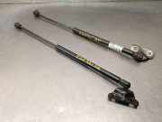 Gasdruckfedern Set Hinten K68101213AA Fiat (345_) 2.0 JTD