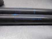 Gasdruckfedern Set Hinten 8200385560 Renault Twingo II (CN) Schrägheck 3-drs 1.5 dCi 75 FAP (K9K-820(K9K-P8))