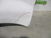 Kotflügel Links Vorne 7782524451 Renault Trafic New (FL) Van 1.9 dCi 100 16V (F9Q-760)