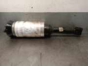 Sto?d?mpfer Links Vorne RNB501610G Land + Range Rover Range Rover III (LM) Gel?ndewagen 3.6 TDV8 32V (368DT)