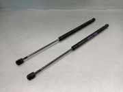 Gasdruckfedern Set Hinten 9638605280 Peugeot 307 SW (3H) Kombi 2.0 HDi 135 16V FAP (DW10BTED4(RHR))