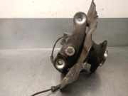 Achsschenkel Halter Links Vorne 31216753461 BMW 7 serie (E65/E66/E67) Limousine 730d,Ld 3.0 24V (M57N2-D30(306D3))