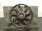 Kühlerventilator 252311Y340 Kia Picanto (TA) Schrägheck 1.0 12V (G3LA)