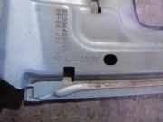 Zierleiste 8200440889C Renault 1.5 dCi Diesel CAT