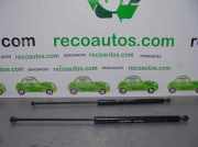 Gasdruckfeder Set Vorne 9652151280 CitroÃ«n C6 (TD) Limousine 3.0 HDiF V6 24V (DT20C(X8Z)) DT20C(X8Z)