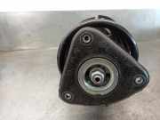 Stoßdämpfer Rechts Vorne DV6118045LC Ford TRANSIT CONNECT 1.6 TDCi CAT