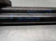 Gasdruckfedern Set Hinten BM51A406A10AD Ford Focus 3 Schrägheck 1.6 TDCi 115 (T1DB)